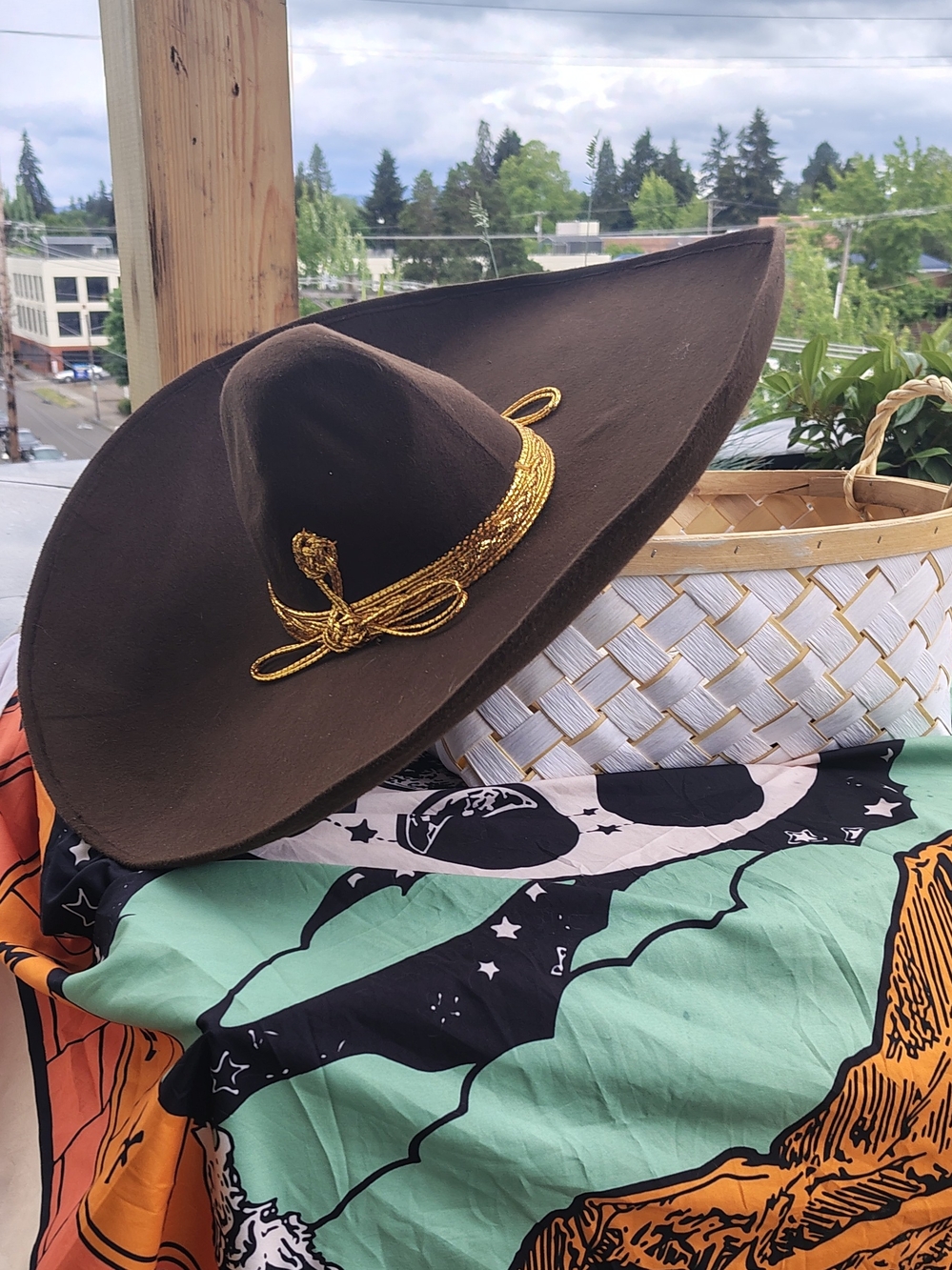 Brown Wide-Brim Felt Hat with Gold Braid